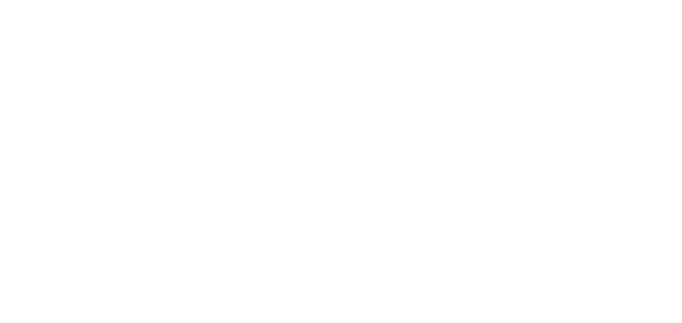 BBL Transport & Logistiek (opent in een nieuw venster)