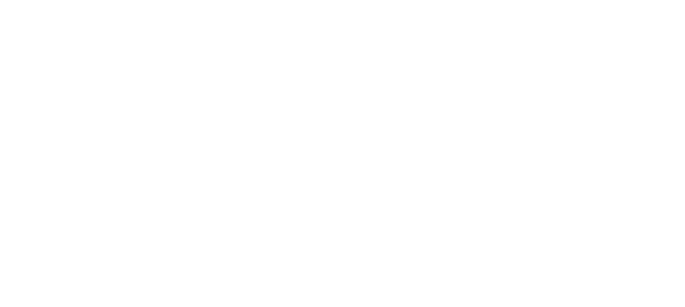 JVG valbeveiliging (opent in een nieuw venster)