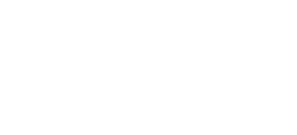 Veluws Licht (opent in een nieuw venster)